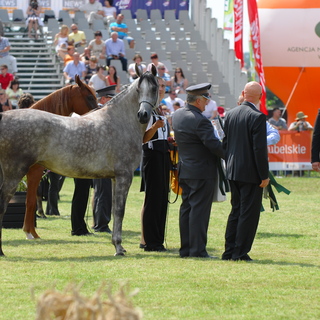 Pride of Poland 2011