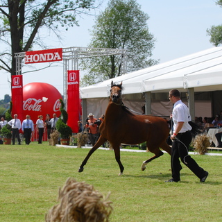 Pride of Poland 2011