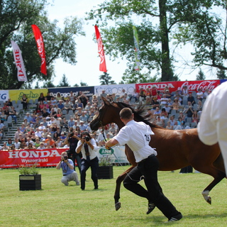 Pride of Poland 2011