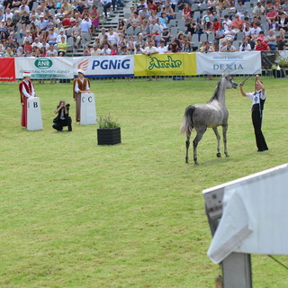 Pride of Poland 2011